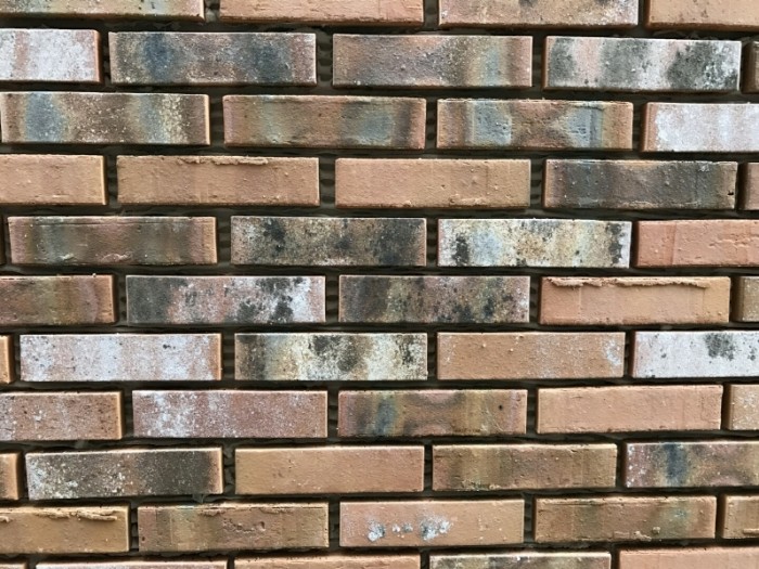 4099787592e7608f1fa8d58ce5fb40c4.jpg